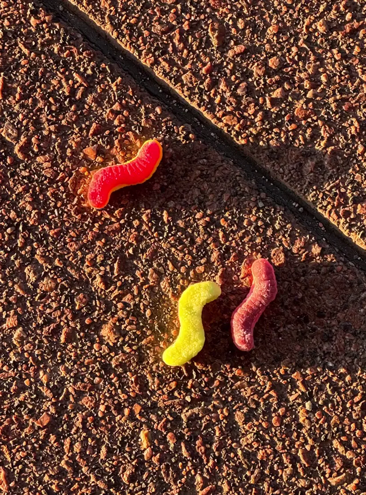 Toy Bird Grabs Gummy Worm